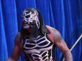 Lucha Fighter