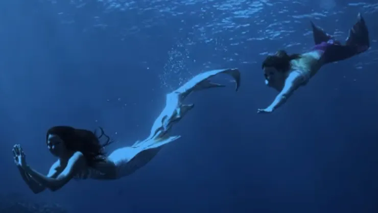 Posibles sirenas en Playa Las Gatas: Pobladores aseguran avistamientos en esta zona de México