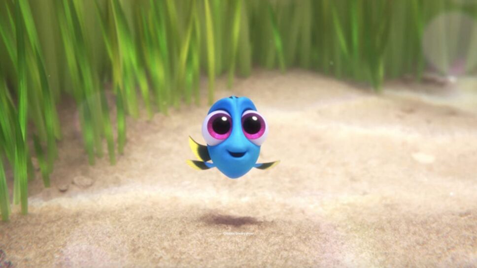 buscando-a-dory-personalidad-2.jpg