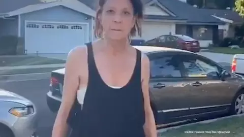 mujer racista agrede vecino mexicano.jpg