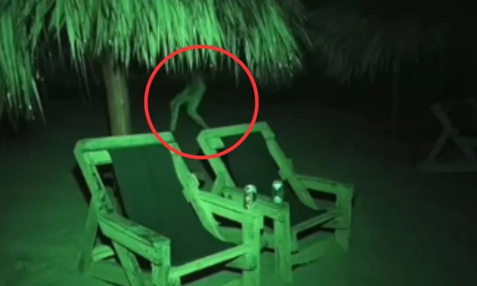 Extraño ser humanoide