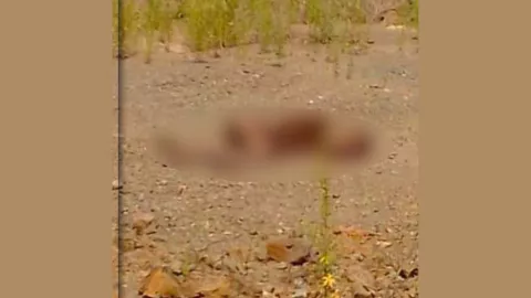 Hombre muerto y desnudo en Mazatlán.