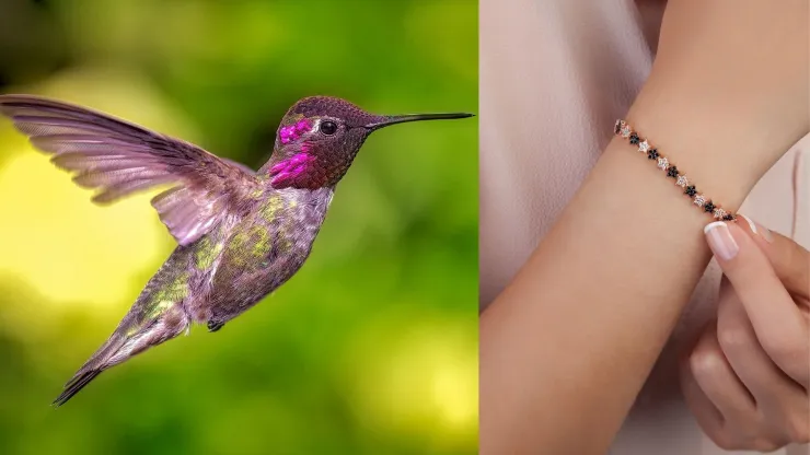 Tener un amuleto de colibrí puede ser una opción perfecta para sentirse protegido, pero también siempre positivo.