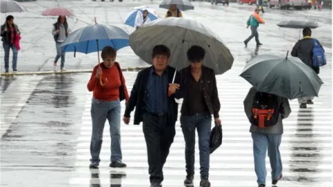 lluvias