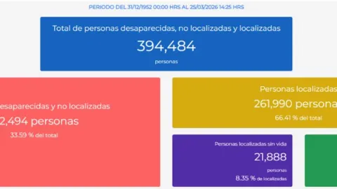 Versión estadística del Registro Nacional de Personas Desaparecidas o No Localizadas (Fecha de consulta: 25 de marzo de 2026).