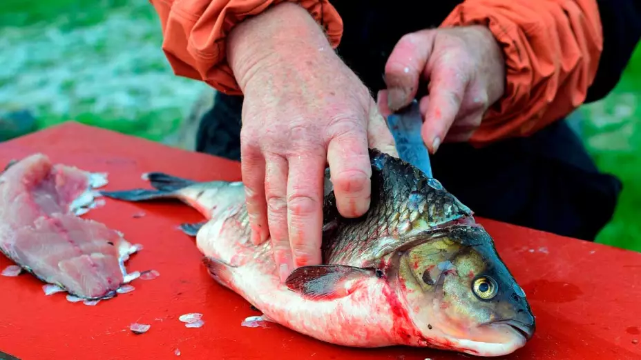 Pescado