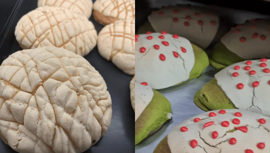 Nogaconcha, el pan de dulce que domina las redes sociales por su tierno aspecto.png