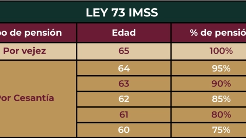 Así-puedes-saber-si-estás-en-el-régimen-de-la-Ley-73-o-97-para-pensionarte