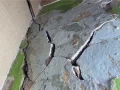 Hogar de la familia Frías después de una explosión.