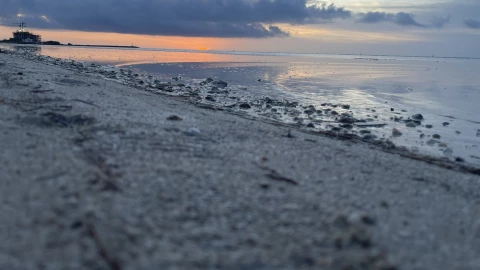 mar-se-aleja-hasta-30-metros-en-playas-yucatán-previo-huracán-beryl-video