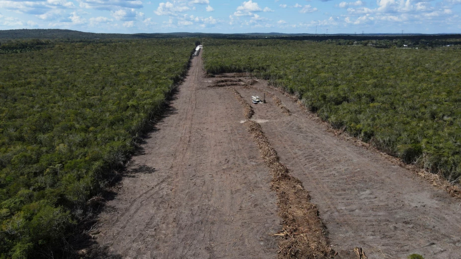 Tala para construcción de Tren Maya cerca de la Reserva de la Biósfera de Calakmul en la península de Yucatán.