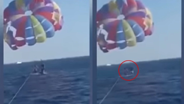 Jordania tiburón paracaidista.jpg