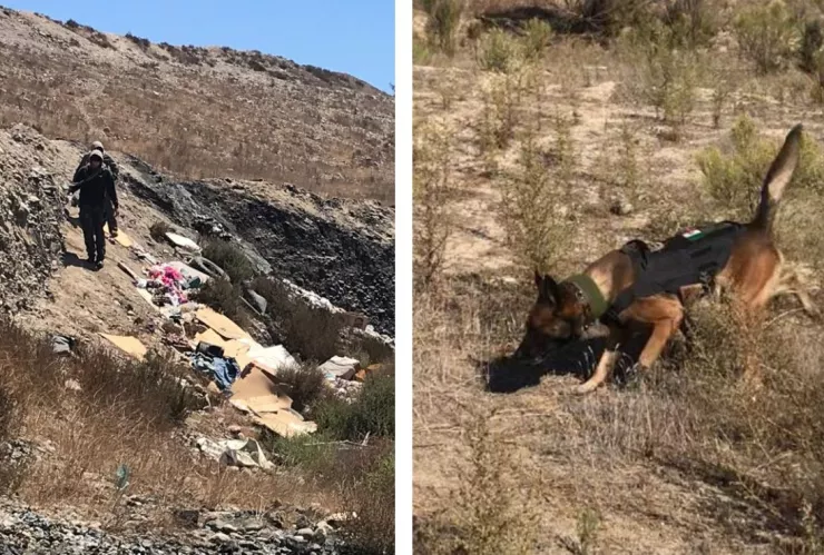 Con agente canino hallan restos humanos en la colonia Loma Bonita en Tijuana.