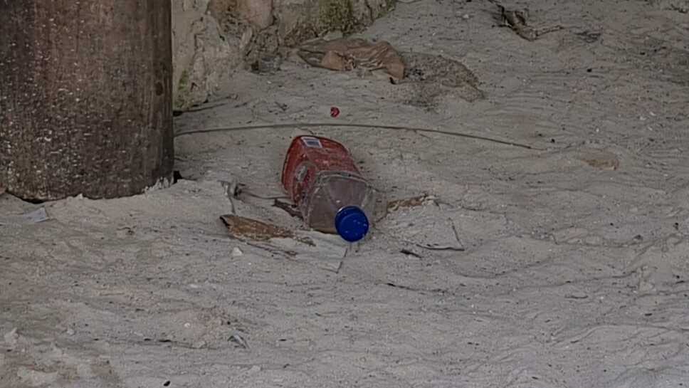 Evita tirar basura en playas de QROO durante temporada decembrina