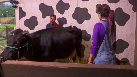 Bebeshita le dice a Bicolor para romancear