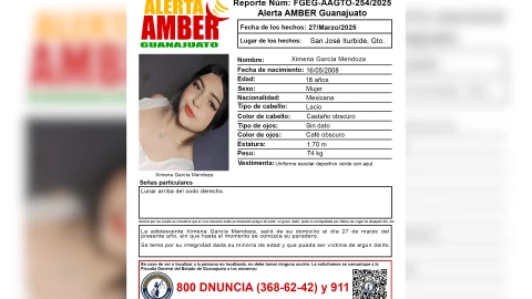Desaparecidos Guanajuato ¿Quién es Ximena García Mendoza y qué se sabe de su desaparición.png