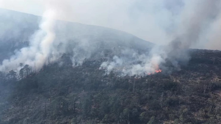 incendio_sierra_arteaga.jpg