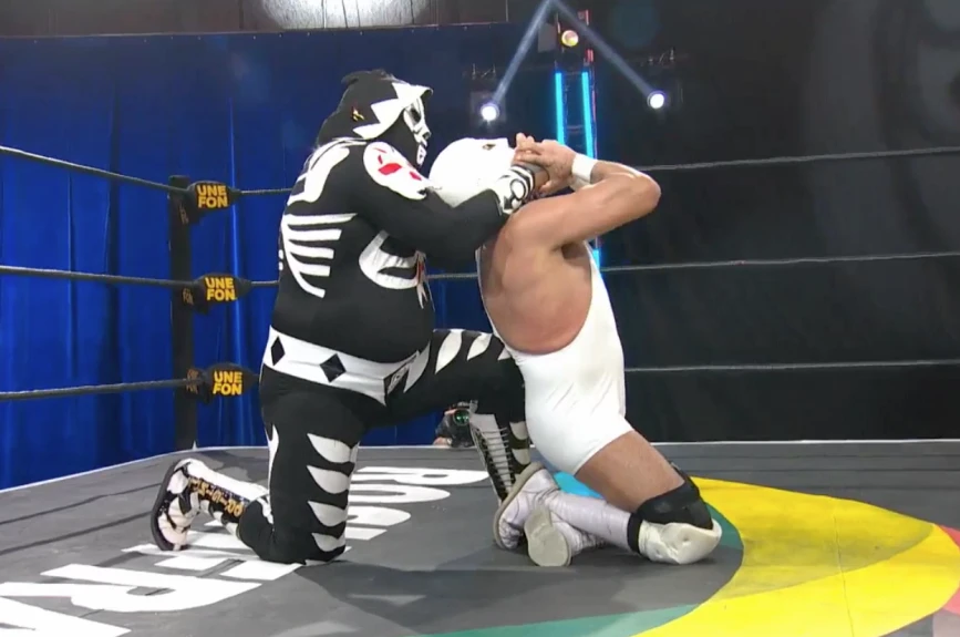 Lucha Fighter