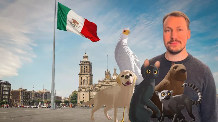 flow-30-de-abirl-mexico-director