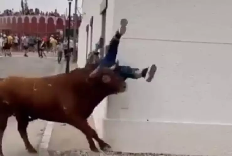 VIDEO Toro embiste a mujer que estaba distraída