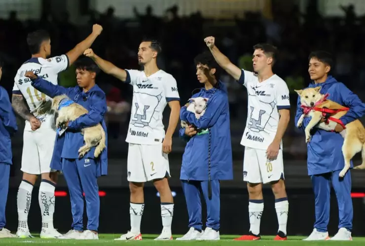 Pumas_adoptar_perro_México_2024