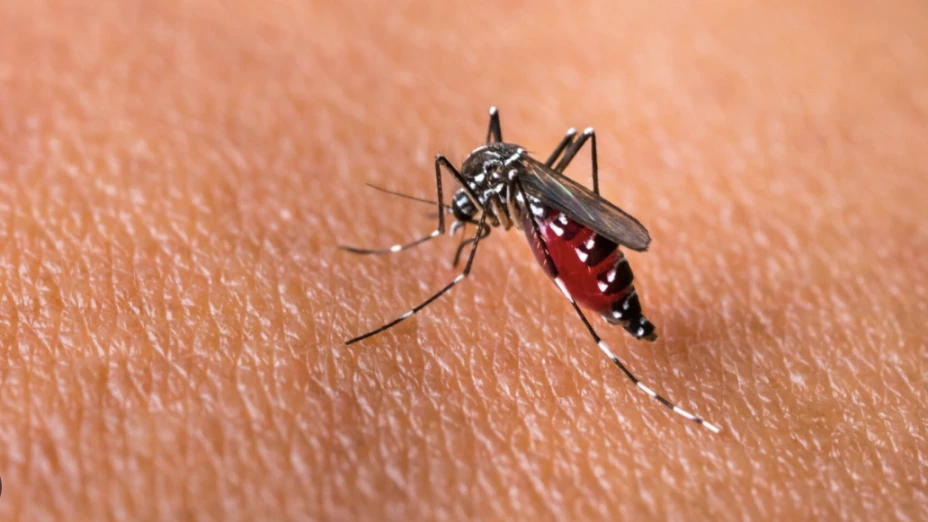 Captura de pantalla 2025-11-12 a la(s) 1.43.28 p.m..png