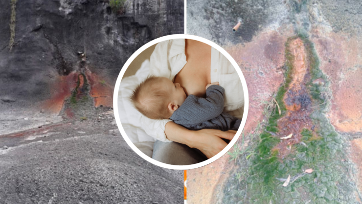 Las madres son más propensas a ver rostros o figuras en objetos inanimados, según nuevo estudio