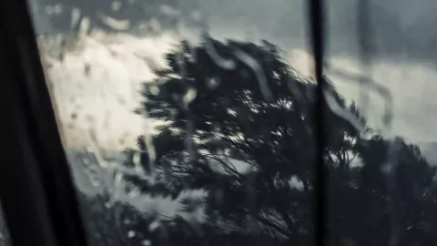 ¿En cuántos municipios lloverá hoy Así el pronóstico del clima en Guanajuato, jueves 12 de marzo.jpg