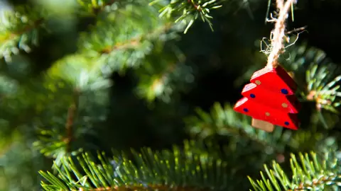 ¿Cuál es la vela que se prende en el tercer domingo de la Corona de Adviento 2024