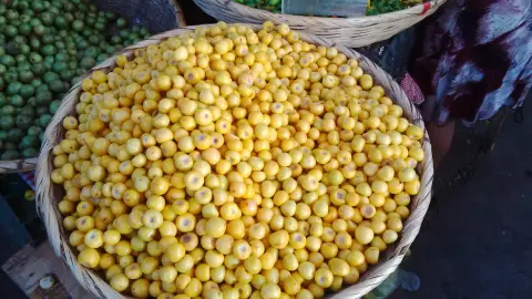 Enfermedades que previene el nanche