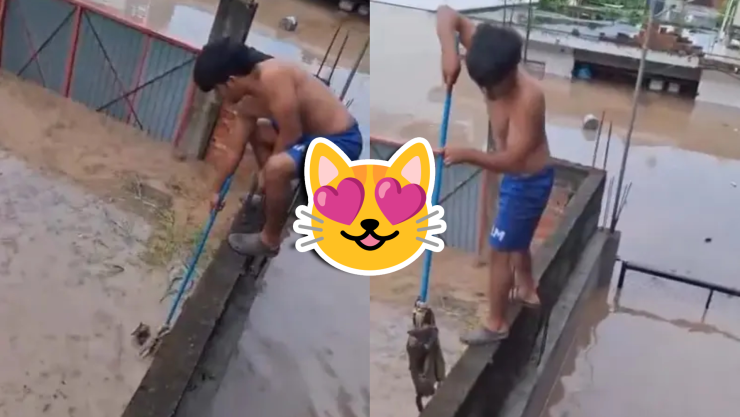 VIDEO_ ¡Héroe! Niño rescata a gatito en medio de las inundaciones en Veracruz y se viraliza en redes.jpg