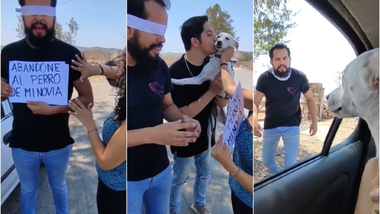 novio_perrita_raza.jpg