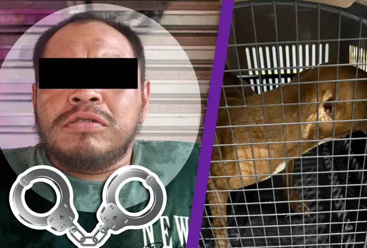 ¡Atrapado! Capturan a abusador de perrita en Benito Juárez; revelan más detalles del caso.webp