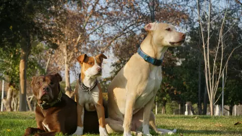 pexels-leonardo-merlo-13275187 (1).jpg