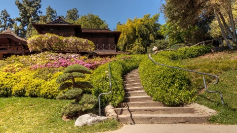 un día plenamente soleado en The Huntington.