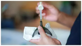 Clinica colibries (11).jpg