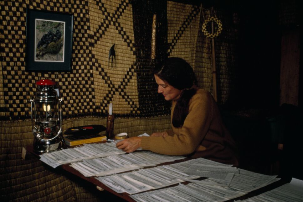 Dian Fossey Foto Cortesía