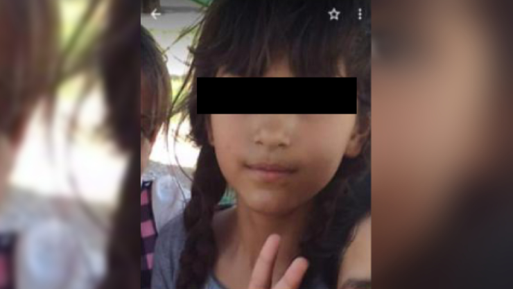 Angelie Chihuahua.jpg