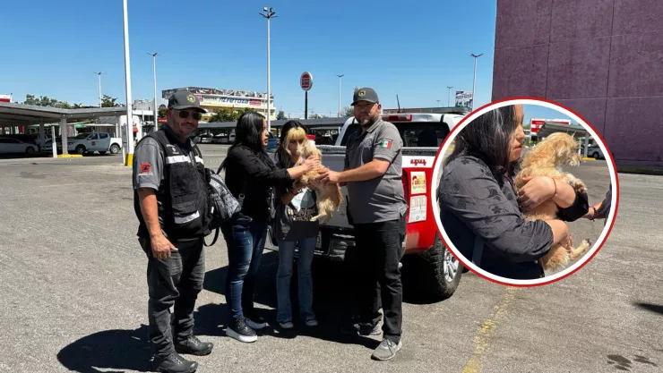 Perrito rescatado en la colonia Agustina Ramírez es entregado a su familia.
