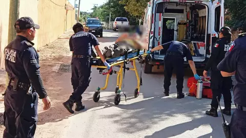 PORTADA abuelito.jpg