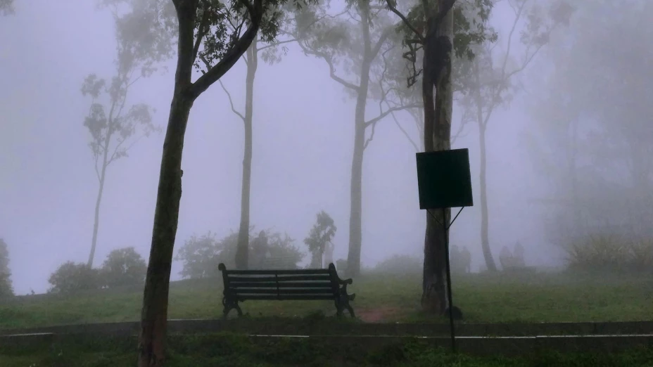 Parque con una banca y arbolado con neblina