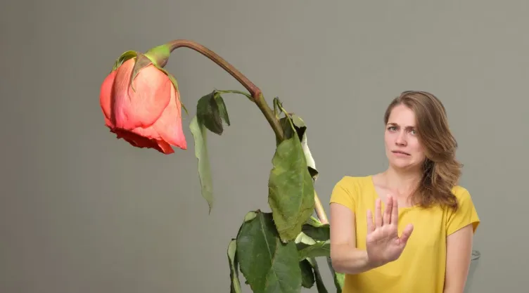 ¿Tu planta recibe demasiado sol? 5 señales que debes reconocer antes de que se marchite