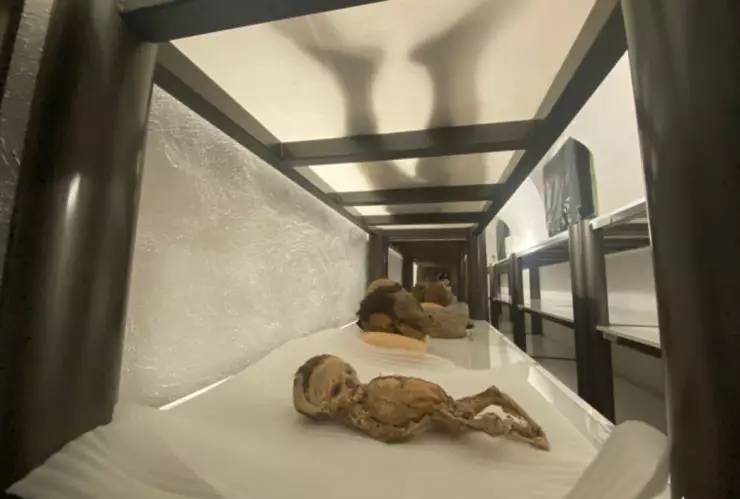 Momias de Guanajuato inah investigacion