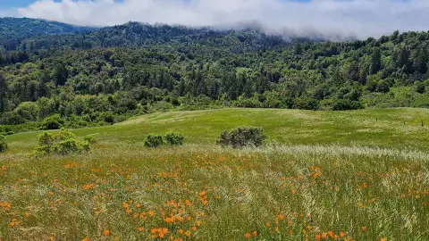 una vista de sus colinas en el norte de California