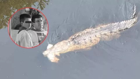 Joven comido por cocodrilos Michoacan