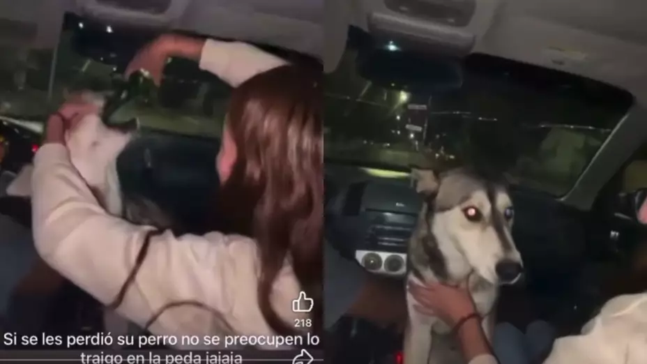 Jóvenes-emborrachan-a-una-perrita-callejera-en-Ciudad-Madera-Chihuahua-una-sería-estudiante-UPNECH