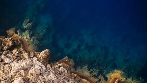 FONDO DEL MAR