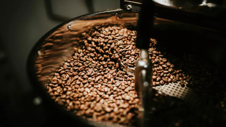 día-internacional-café-conoce-ritos-tradiciones-cafeteras-en-el-mundo-granos