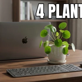 4 plantas pequeñas perfectas para decorar tu escritorio sin ocupar mucho espacio