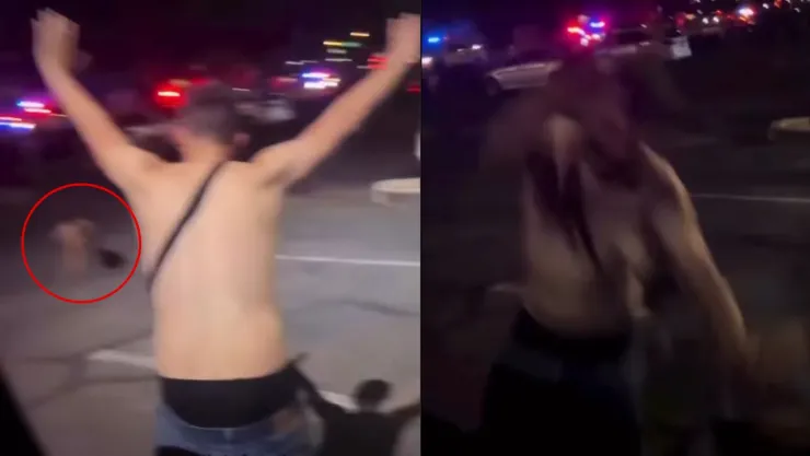 Perro policía ataca a delincuente